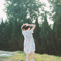 ����ȹ�ӵ�����