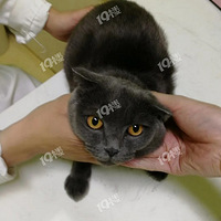 è������