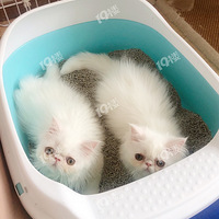 ���׼ӷƵܵ�����