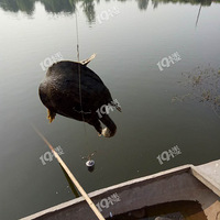 �����и�ҹ���õط�13757082565�绰΢��