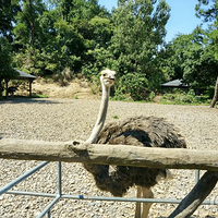 �����ڳ��Ρ�ǧ�������ι�������ʳ���������ҵ�ɢ���ó�