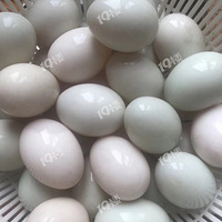 ���Ʋ�ɫ������