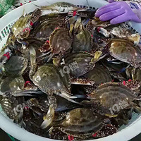 ���ʺ���