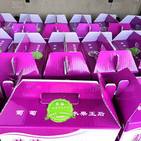 ���޵����Ѳ�ժ�����Ϳ���԰��ժ