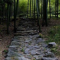 �ļ���Ϯ��������Ѵ��������