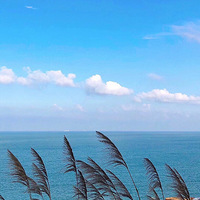 ��һ���Լ��ε��Ż�