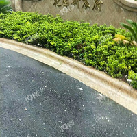 ��԰��巸����������ס��������ϵ�绰��13588179711