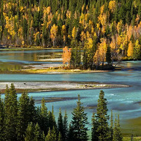 9.29-10.7�½�����˹60����ͽ����Խ��Լ��������