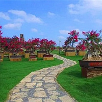 ǧ����ޱ��ʢ��������һ�ģ���pick����Ǩ�ı���ʥ�ذɣ�