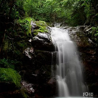 ���ϵľ�կ���������ڶ��ٲ�Ⱥ