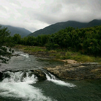 ����ʤ��