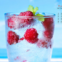 2019��8��������ֽ