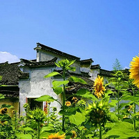 ���ݹŴ壬8�����տ���Լ��