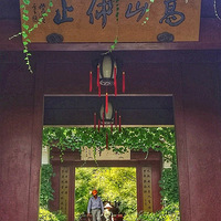 ������Ժ