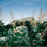 ����ɽͽ����8.4ͽ������-ƽϪ-ҩ����||�Ƕ�ǧĶ�壬�ŷ�����