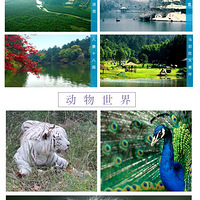 ӵ������Ȼ�����ȳ�����롪�������ٲ�԰Ȥζ�����Ž�һ����