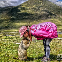 �����˺�һ���ؾ���Ī˹�� �����˺�12������������(��װ)