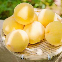 ��������ͣ���������ɽ�ӻ�ȡ��������ɰɣ�