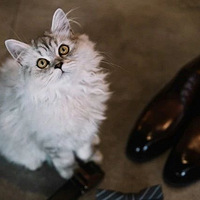 �������ռǡ���200�˵ġ����桱������Ȼ��ôʱ����Ȥ