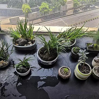 ������Ȥ�ࡪ�����У�����ĩ8.3�ռ����˻,����ȥ����һ��.