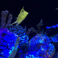 �Ϻ������