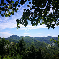 ժ������