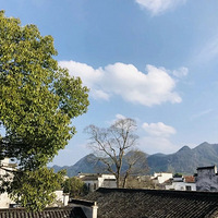 ���չŴ���֮����������