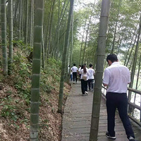 �������ģ����ߺ��·