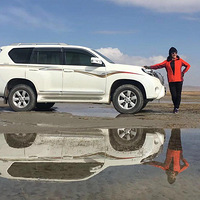 ������ӡ���������������