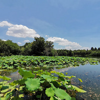 ����ĺ�������������