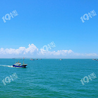 ���ջ�ϲ�ã��һ��㰲����