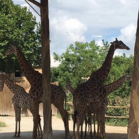 �Ϻ�Ұ������԰