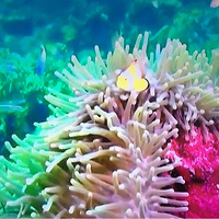 ����һ��