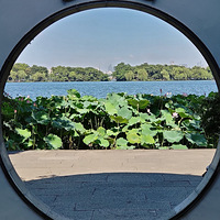 �������������ɻ���Ƭ