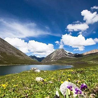 �����԰ | �йȴ�-�����Ѵ�-���� ��������ͽ����Խ�