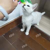 ��Ҫ�ĺ�һ��