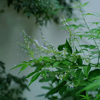 ������ | ��Ҫ������Ȥζ֮��