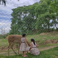 �����޴򿨡�������ȥ������