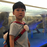 �����޴򿨡�+��Ȼ����ݿ�����