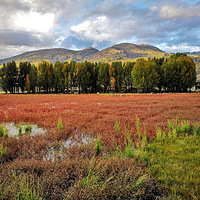 ���������ء������+�����Ƕ�+÷��ѩɽ+�ξ�������11��֮��