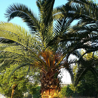 ����һ��������