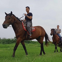 ����������Ұ�ĵط���������