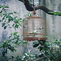 ������ܲ����ø��ã�����ᡣ