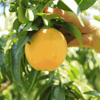 ������յ�������������