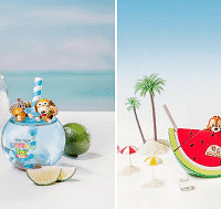 �Ϻ���ʿ��ȼ���������ʮ�߽��й��������뻥������չ����