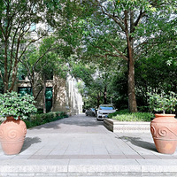 �ѽ�����������������