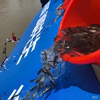 2019�׽�Ǯ������ֳ����,100��β�������Ǯ����