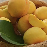 ���ѽ���ɰ��Ļ�����͸��~�㣡�𣡴࣡