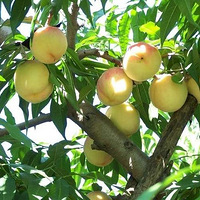 ƿҤ���Ķ����������ժ---���ʵ���