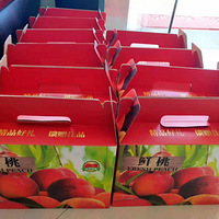 ��������ط�������Ѳ�ժ���ң���֪����